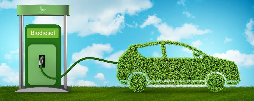 Gələcəyin Yanacağı: Biodizel – Ekoloji Zəncirin Həlledici Bəndi